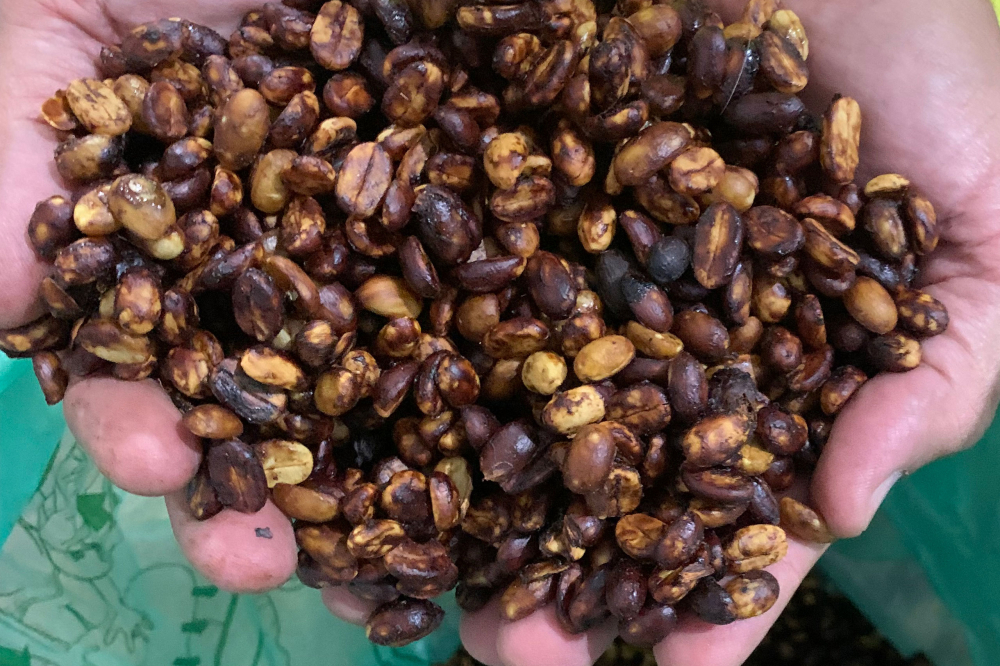 Complete Guide to Costa Rican Honey Process Coffee: Master Black Honey Flavors and Pour Over Parameters in One Go