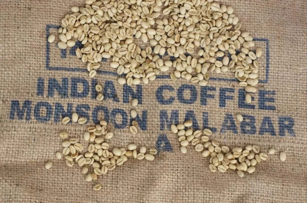 A Complete Guide to India's Coffee Regions: Exploring Robusta and Monsooned Malabar Flavors
