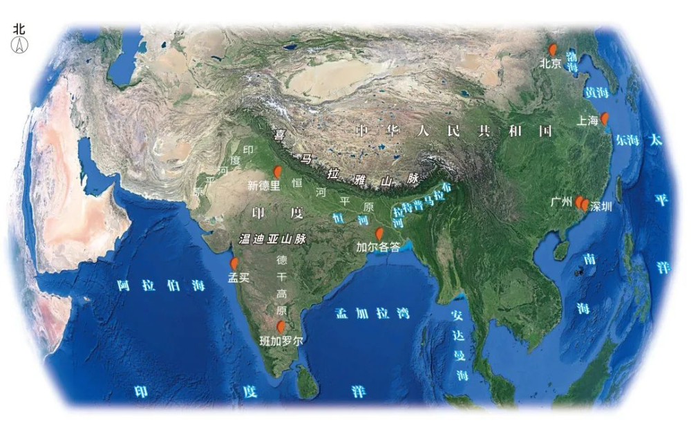 A Complete Guide to India's Coffee Regions: Exploring Robusta and Monsooned Malabar Flavors