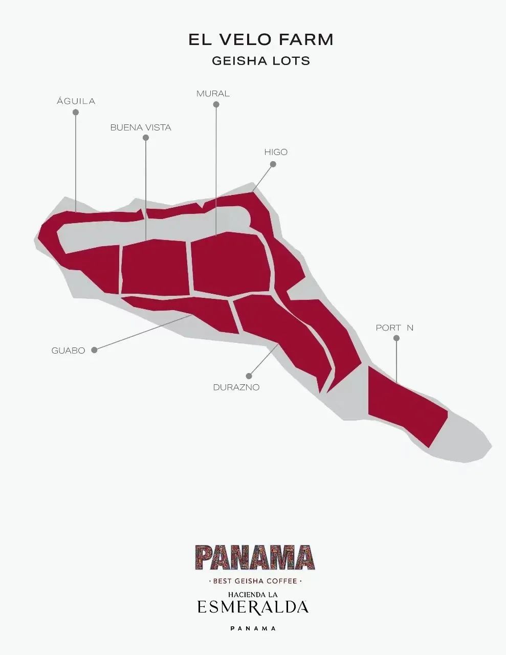 How to Choose Panamanian Hacienda La Esmeralda Geisha? A Complete Guide to Blue, Green, Red Labels and Lot Differences