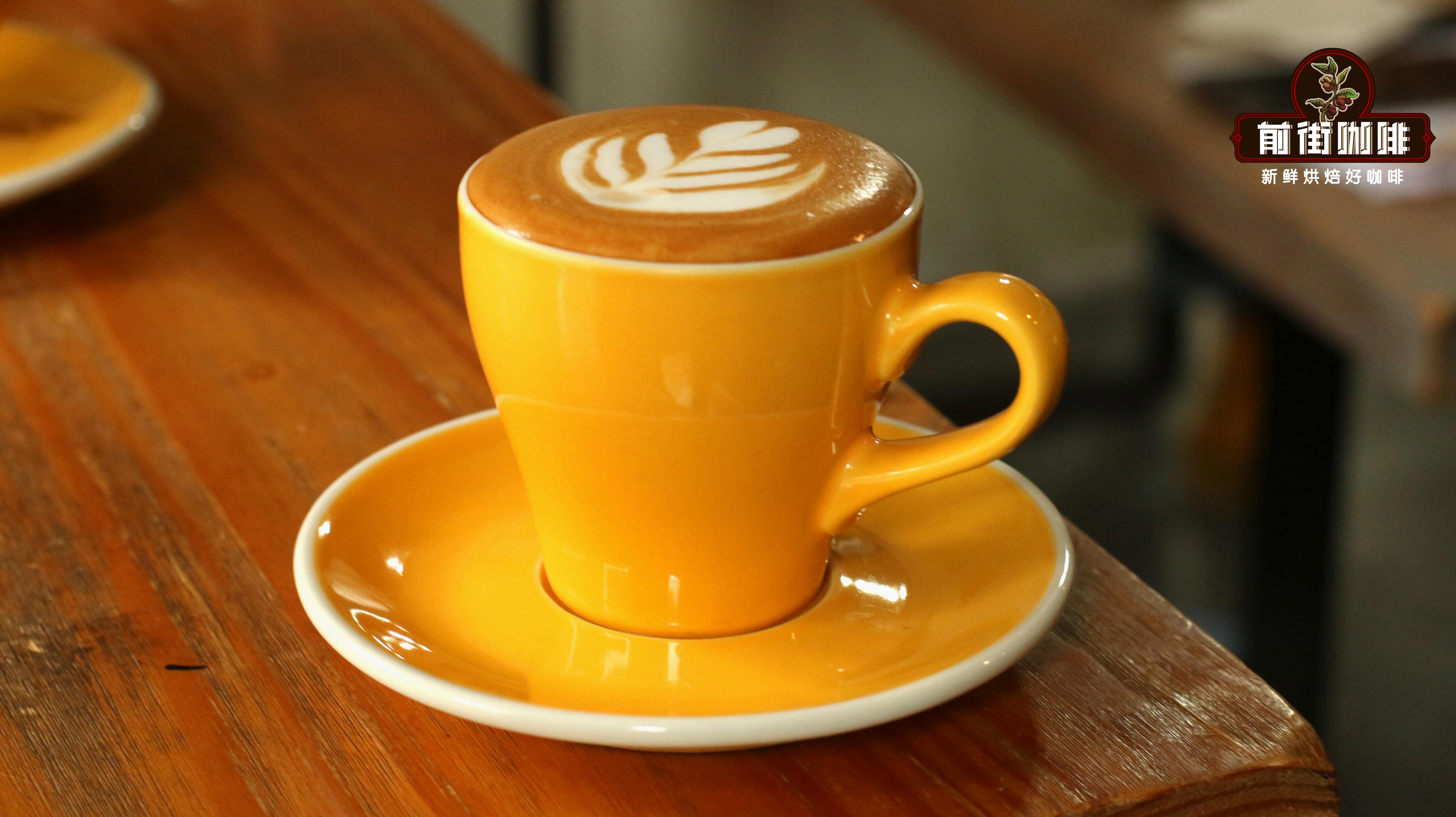 Beginner's Guide to Espresso: Blend Selection, Extraction Techniques, and Tasting Methods