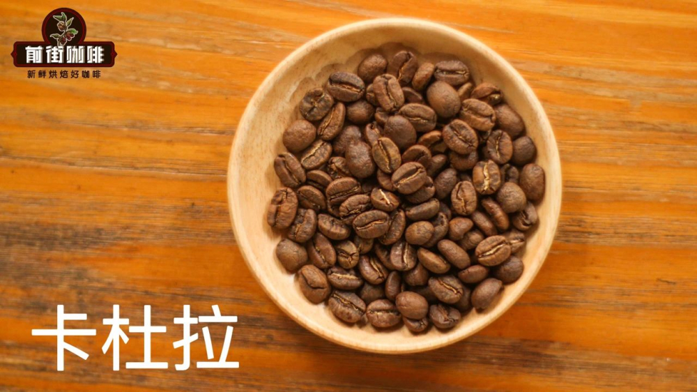 A Complete Guide to Caturra Coffee Variety: Dwarf Height, High Yield Traits, Central American Dissemination History, and Pour Over Brewing Techniques
