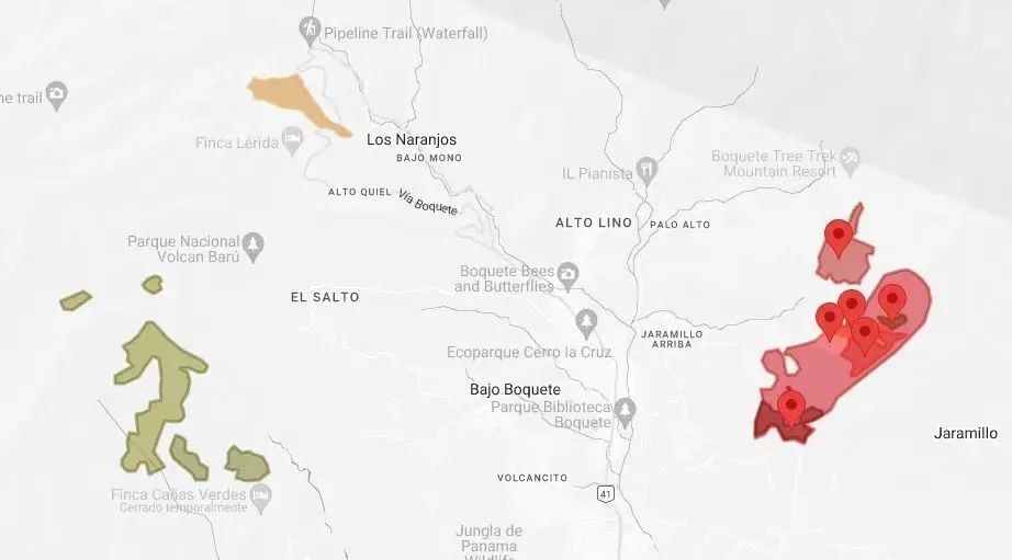 Complete Guide to Panamanian Geisha Beans: How to Choose Between Red, Green, and Blue Labels? Flavor, Origin, and Brewing Recommendations