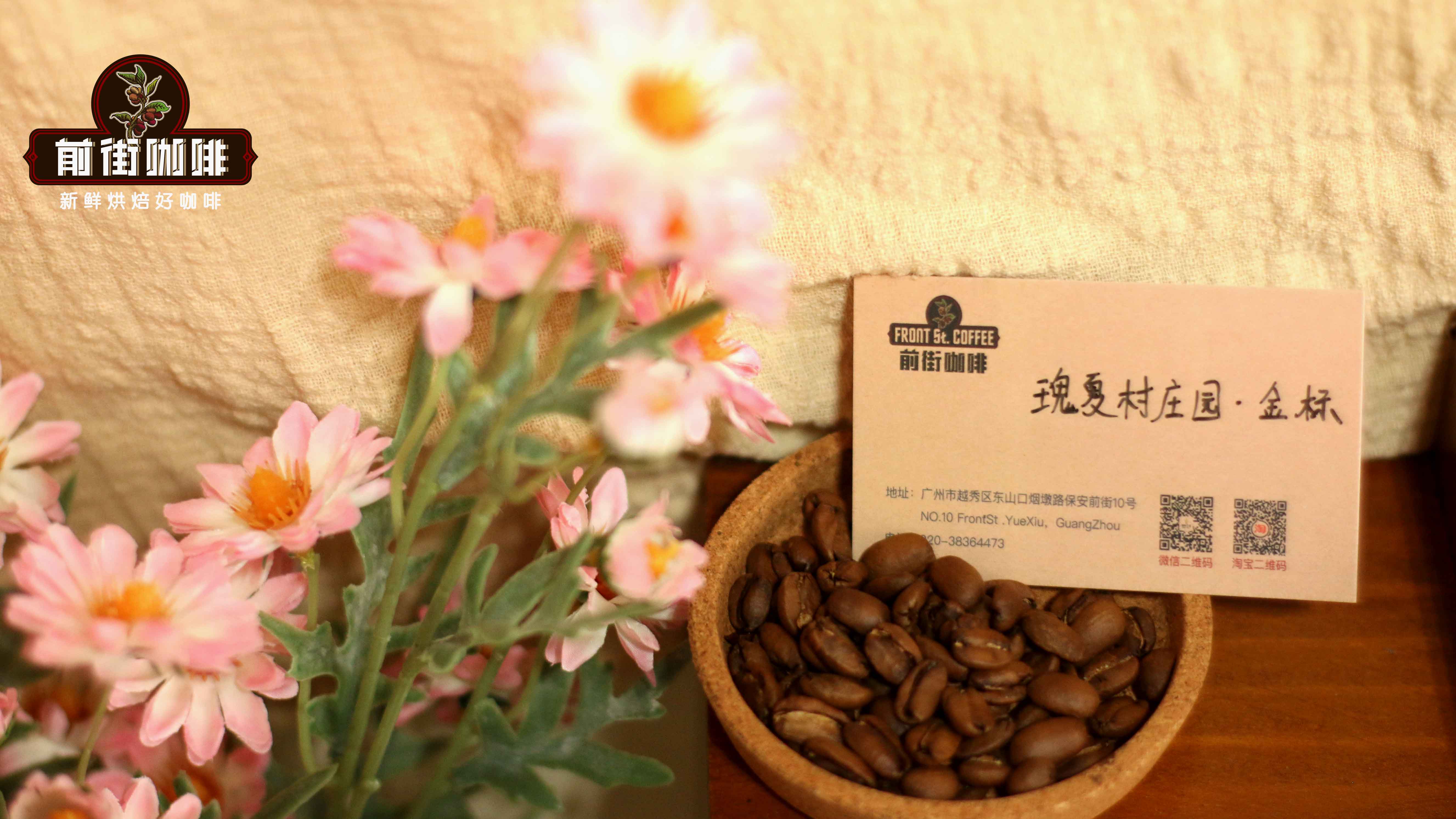 Ethiopia Gesha Village vs Panama La Esmeralda: Flavor Differences of High-Altitude Gesha and Brewing Recommendations