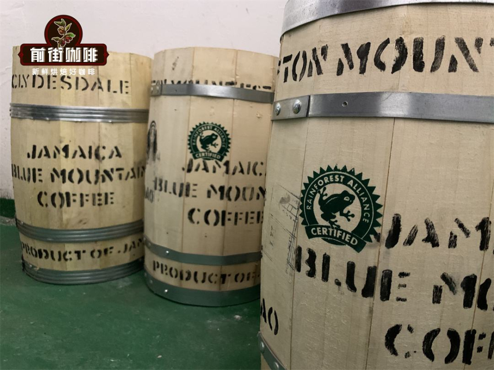 A Beginner's Guide to Jamaican Blue Mountain Coffee: Grades, Flavors, and the Correct Brewing Method