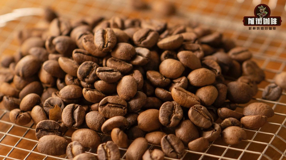 Beginner's Guide to Home Coffee Machines: Making Standard Espresso & Tips for Choosing Blends