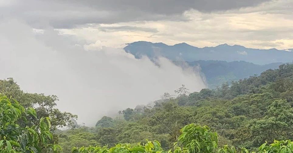 A Comprehensive Guide to Ecuador’s Chimborazo Province Coffee Region & Recommended Farms
