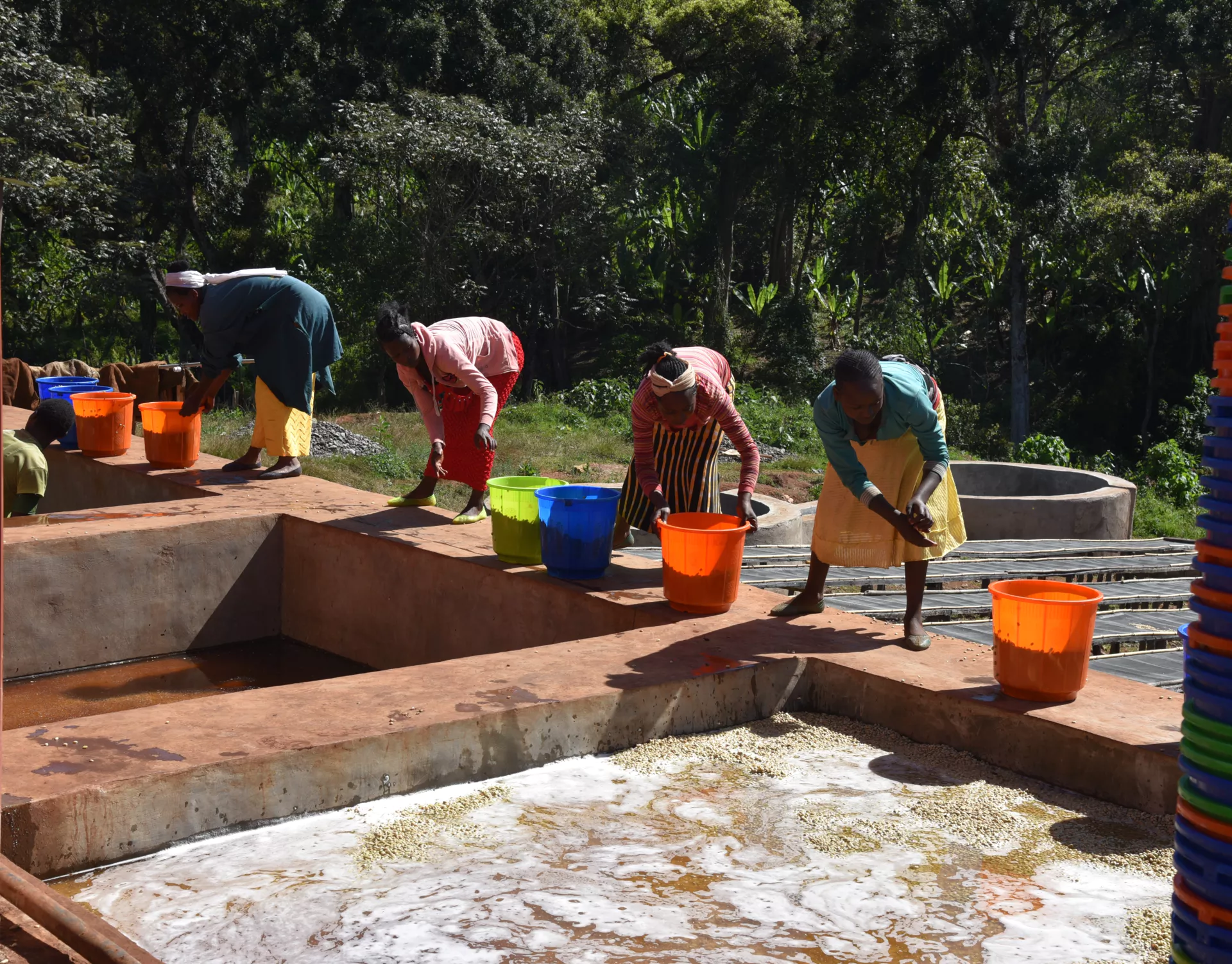 Complete Guide to Sidamo Huakui Natural G1: Region, Processing, and Pour Over Flavor Profile