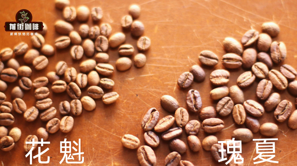 Complete Guide to Ethiopian Huakui Coffee: Terroir, Roasting Profiles & Pour Over Parameters