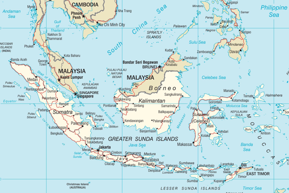 A Complete Guide to Indonesian Mandheling Coffee: Golden Mandheling Grading, Variety Breakdown, and Selection Tips