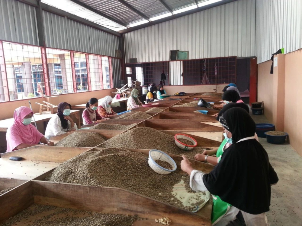How to Choose Between Golden Mandheling and Colombian Beans? A Complete Guide to Flavor Profiles and Brewing Parameters