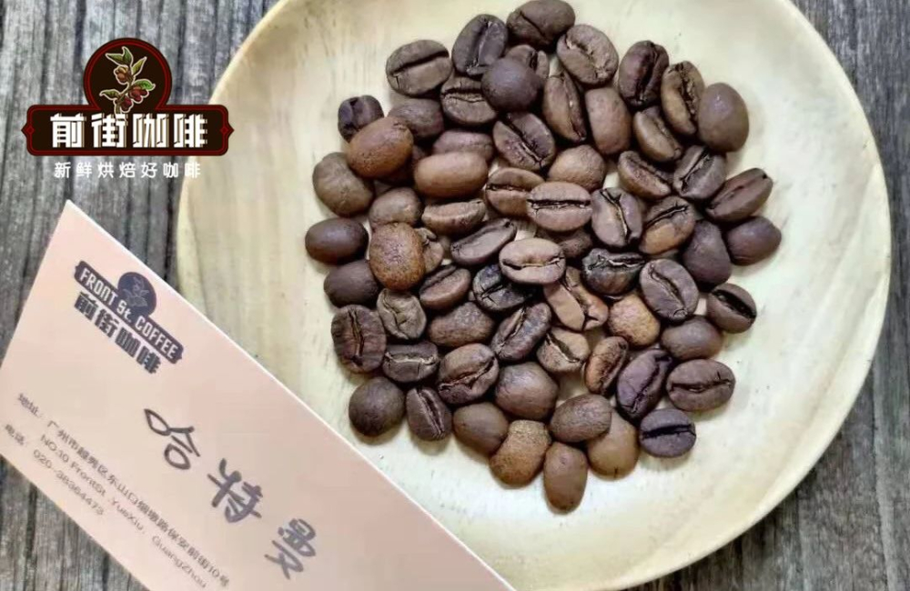 A Comparative Tasting of Central and South American Coffees: Exploring the Unique Characteristics of Five Major Origins Including Panama and Colombia