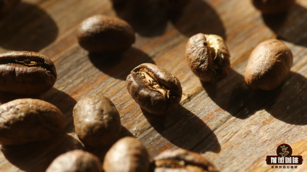 A Complete Guide to Arabica Coffee Bean Varieties: How to Choose Between Typica, Bourbon, and Geisha? Understand Their Flavors and Characteristics All at Once