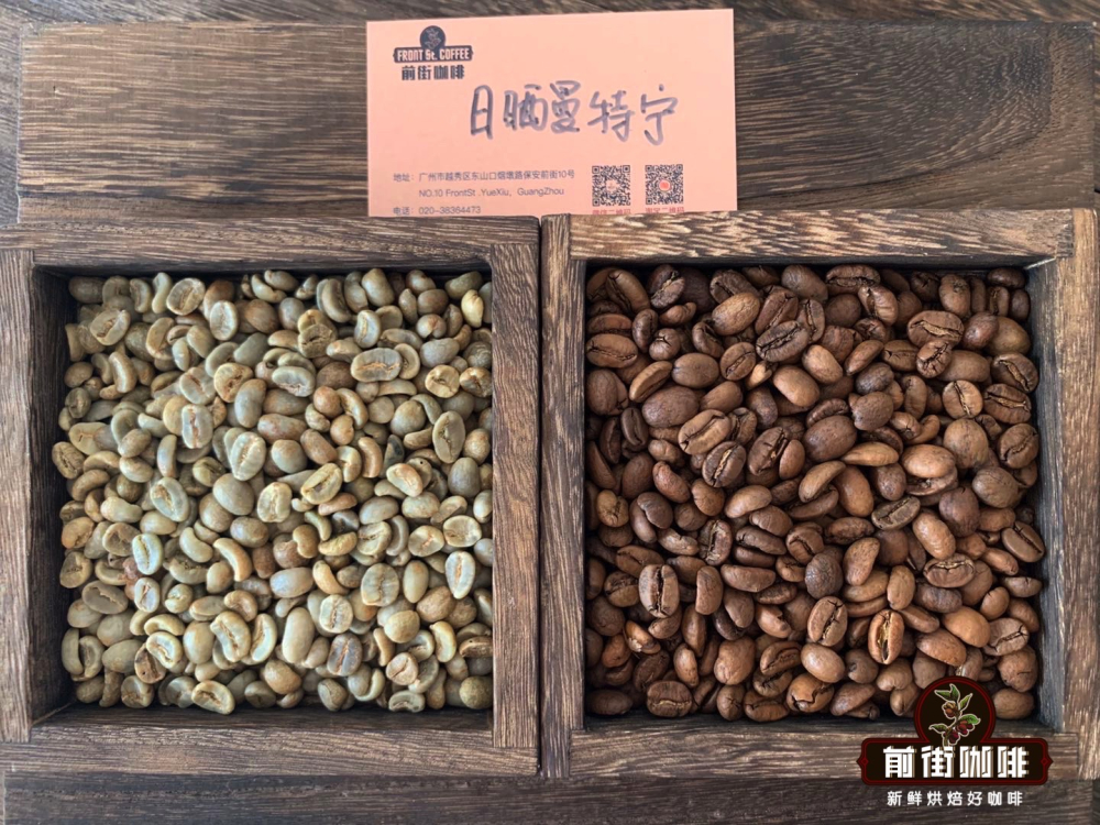 The Ultimate Guide to Jamaican Blue Mountain Coffee: Origin, Variety, Flavor, and Pour Over Parameters