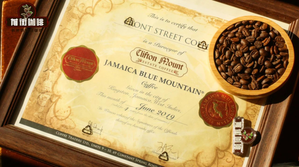 A Complete Guide to Jamaican Blue Mountain Coffee Beans: Grades, Prices, Flavors, Brewing Tips & Authentic Certification