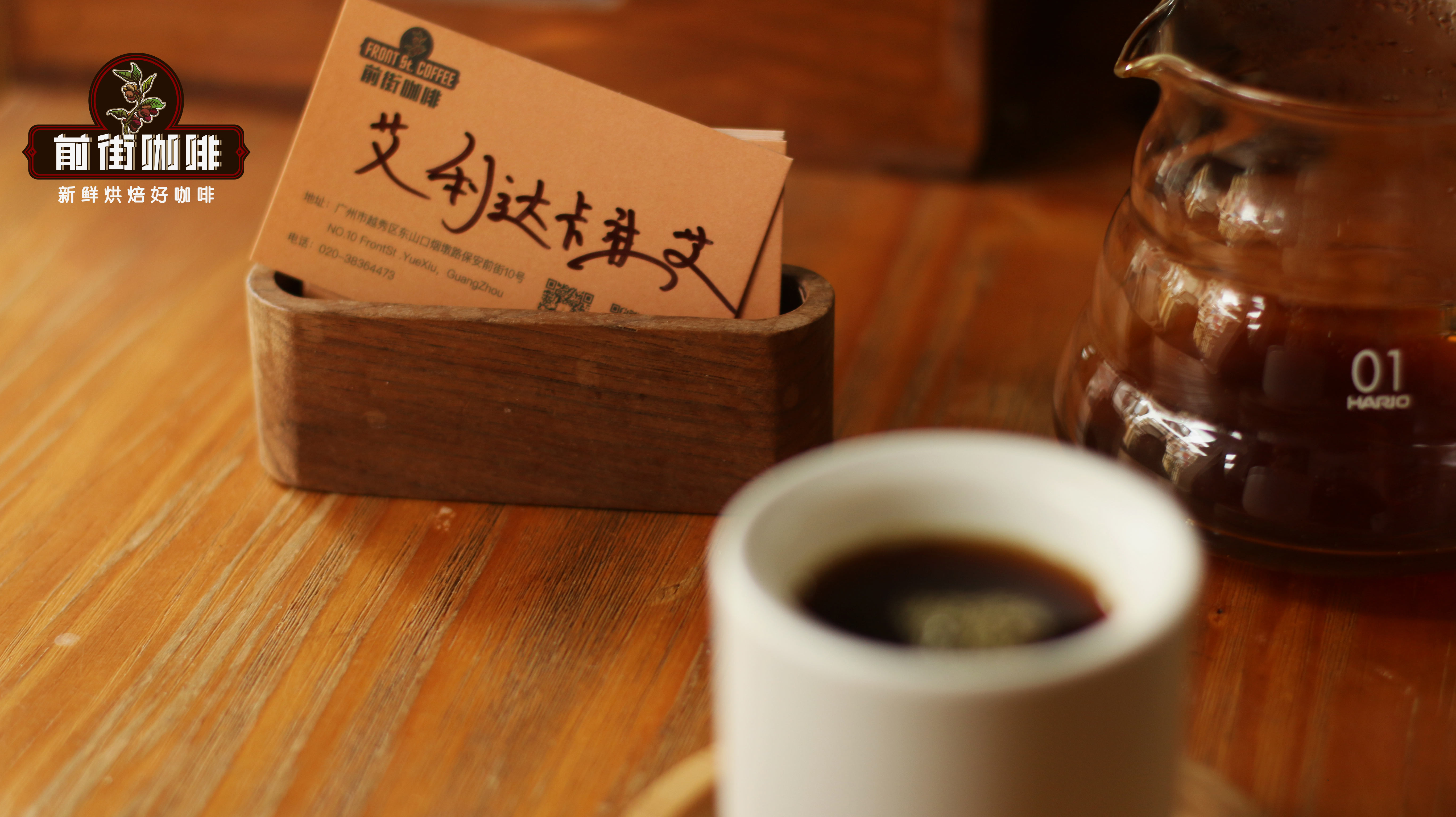 Complete Guide to Arabica Coffee Varieties: Flavor Profiles and Origins of Typica, Bourbon, and Geisha
