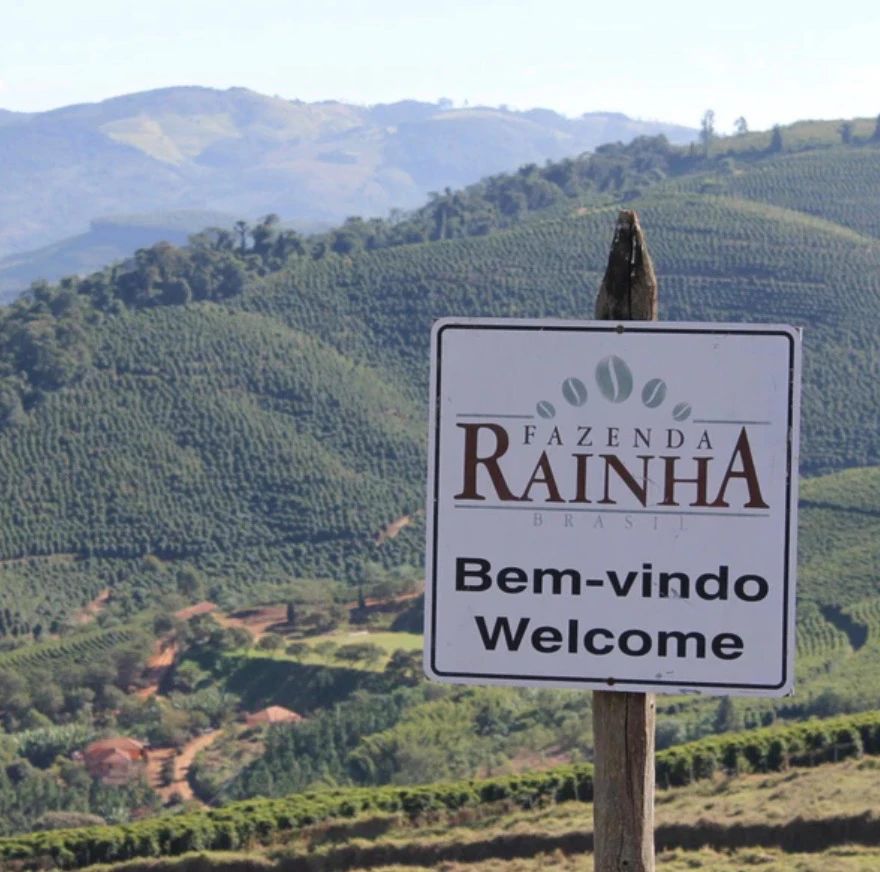 A Comprehensive Guide to the Origins, Flavors, and Pour Over Brewing of Red & Yellow Bourbon from Fazenda Rainha in Brazil