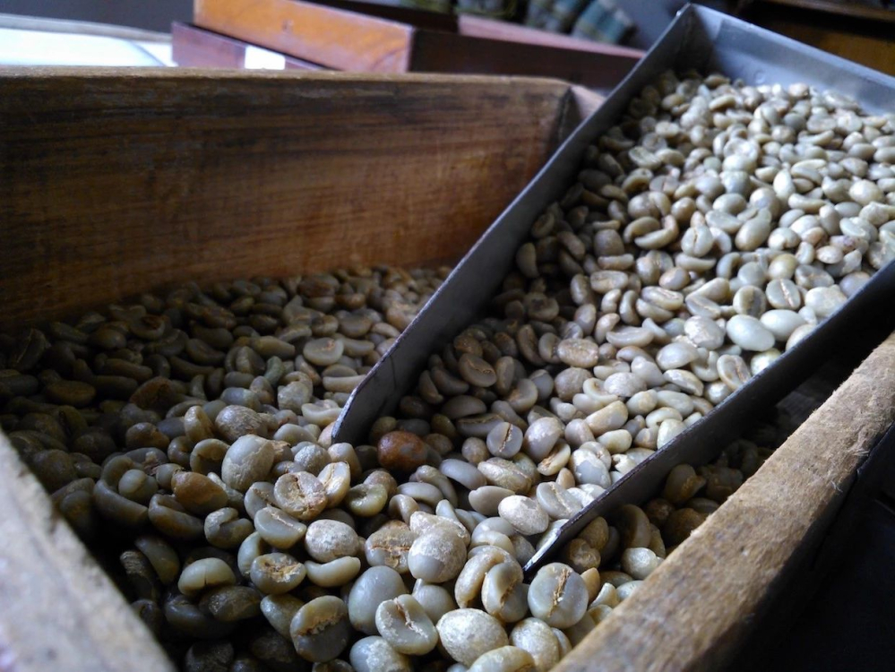 Flavor Analysis of Brazil's Six Major Coffee Regions and Pour Over Guide for Bourbon Coffee Varietal