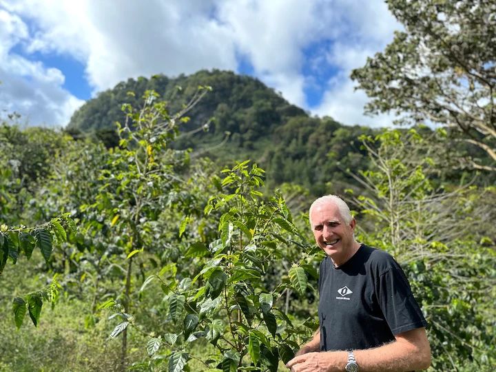A Complete Guide to Panamanian Boquete Geisha: From La Esmeralda Farm Plots to Red & Green Label Brewing