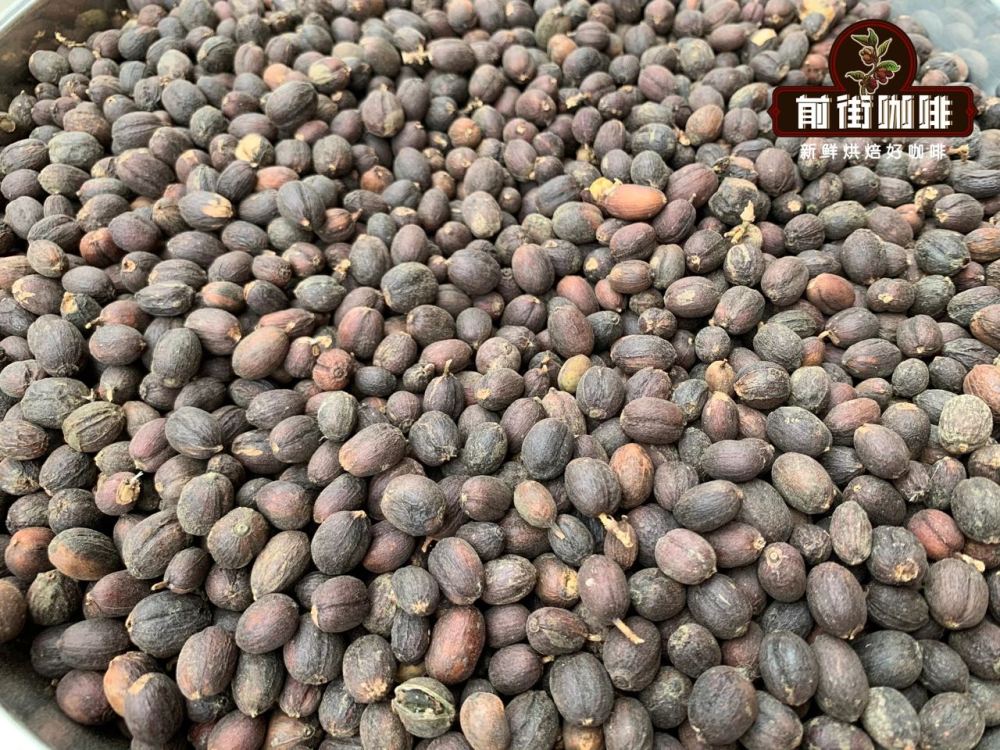 How to brew Yunnan Lincang Typica natural process beans? A complete guide to variety characteristics and pour over parameters