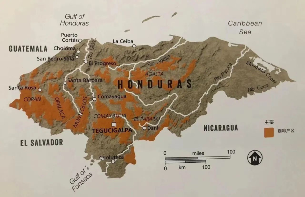 A Comprehensive Guide to Honduras' Six Major Coffee-Growing Regions: From Terroir to Processing Techniques and Varietal Characteristics