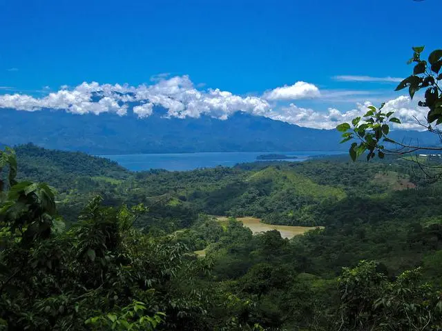 Honduras Litchi Orchid Pour Over Guide: Wine Barrel Fermentation Process and Extraction Techniques with Three Brewing Methods