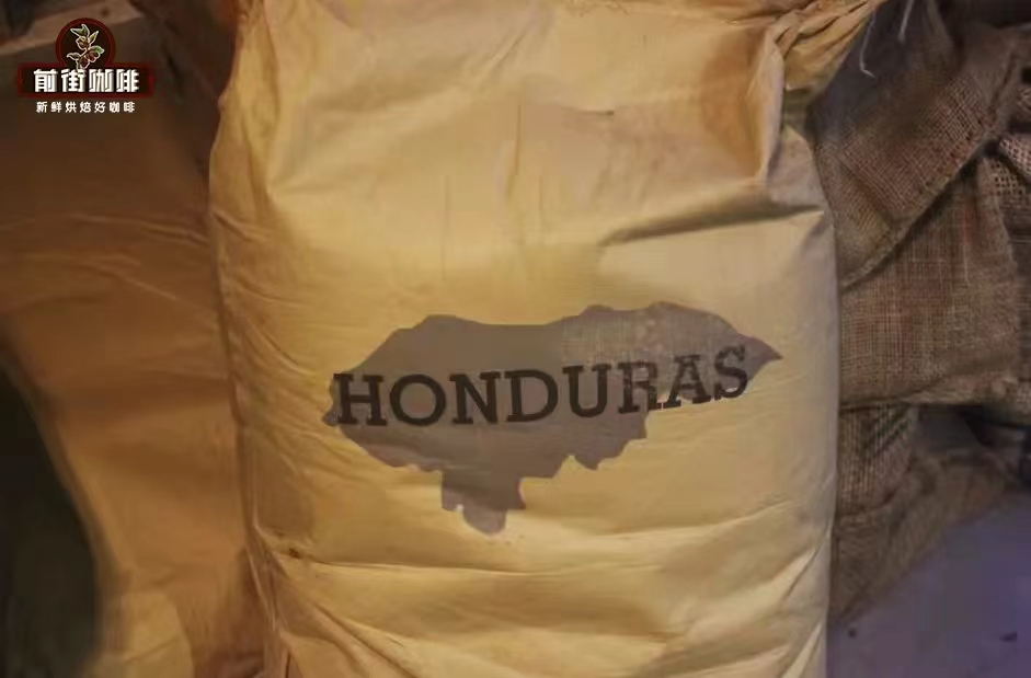 Honduras Washed Coffee Pour Over Guide: Regional Characteristics and Precise Extraction Parameters