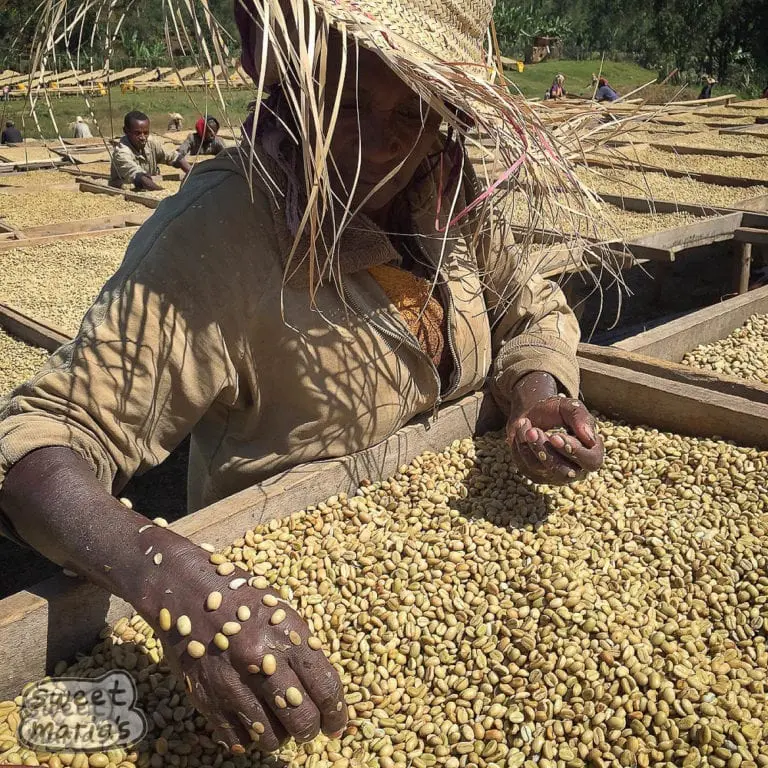 What’s the difference between Yirgacheffe and Arabica? A complete guide to Ethiopian heirloom beans + pour over parameters