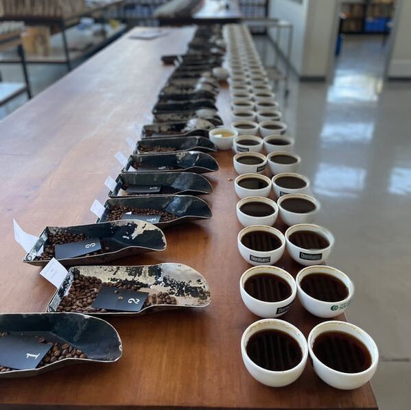 A Complete Guide to Kenyan Coffee Bean Growing Regions, K72 Processing Method, and Pour Over Parameters