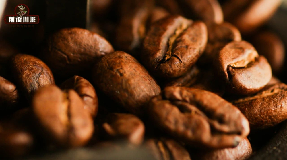 Drip Coffee for Beginners: Grind, Bean Selection, and Machine Operation – All in One Guide
