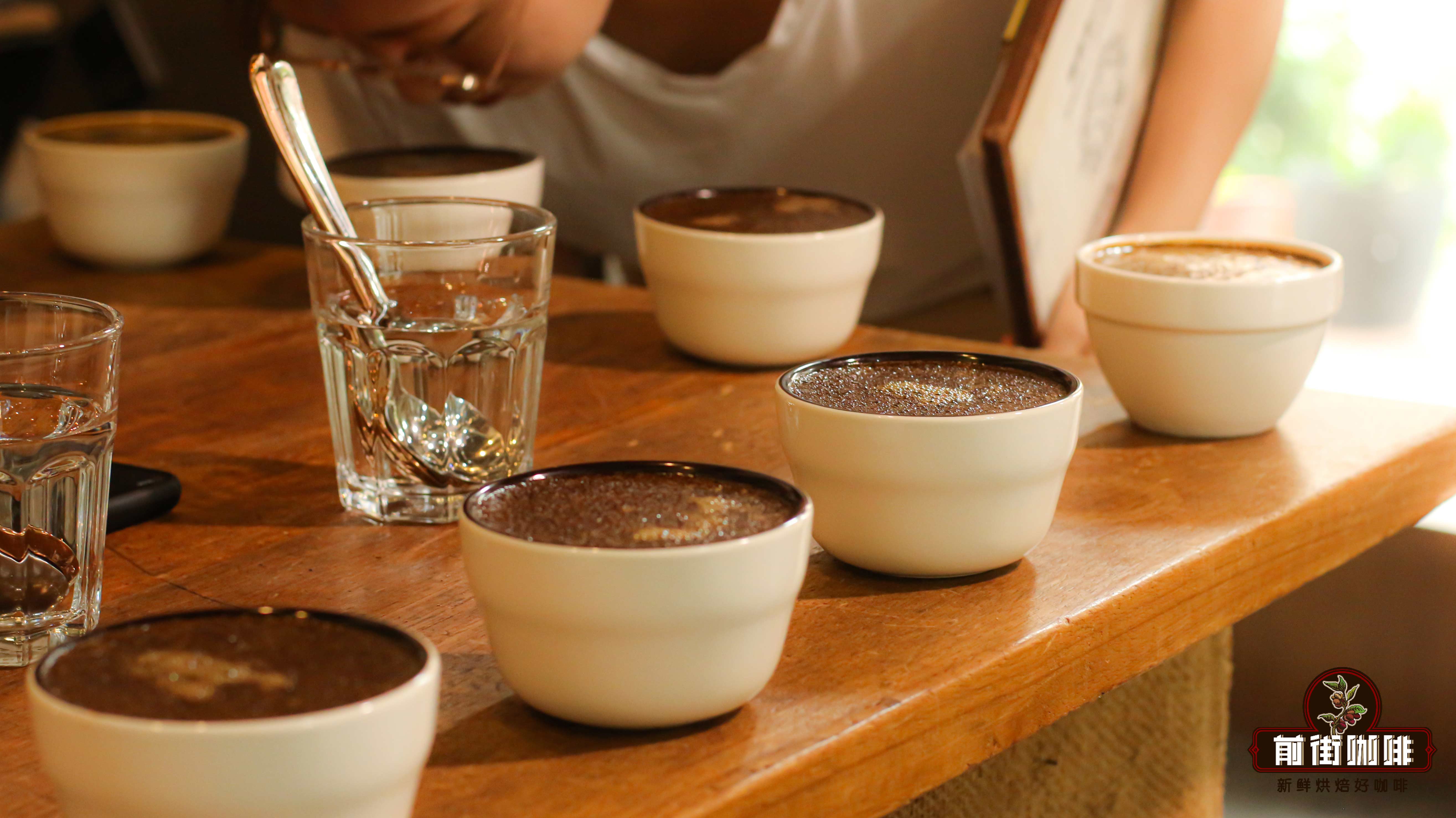 What’s the difference between cupping and triangle testing? A complete guide from extraction standards to sensory identification