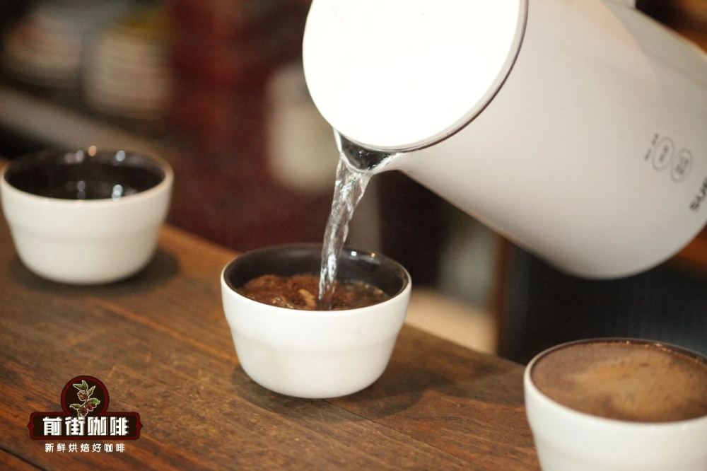 What’s the difference between cupping and triangle testing? A complete guide from extraction standards to sensory identification