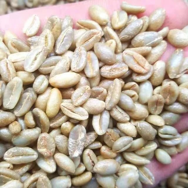 Slender and Pink Bourbon: Exploring the Growing Terroir and Pour Over Flavors of Rare Coffee Varieties