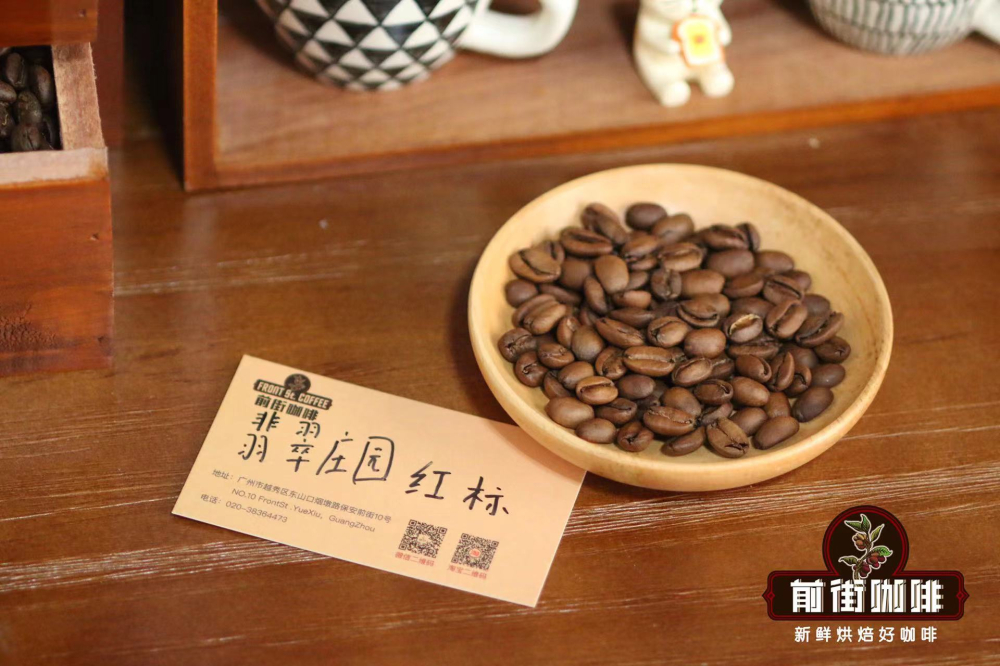Top 10 Specialty Coffee Origins Around the World & Flavor Guide: Pour Over Bean Recommendations and Brewing Tips