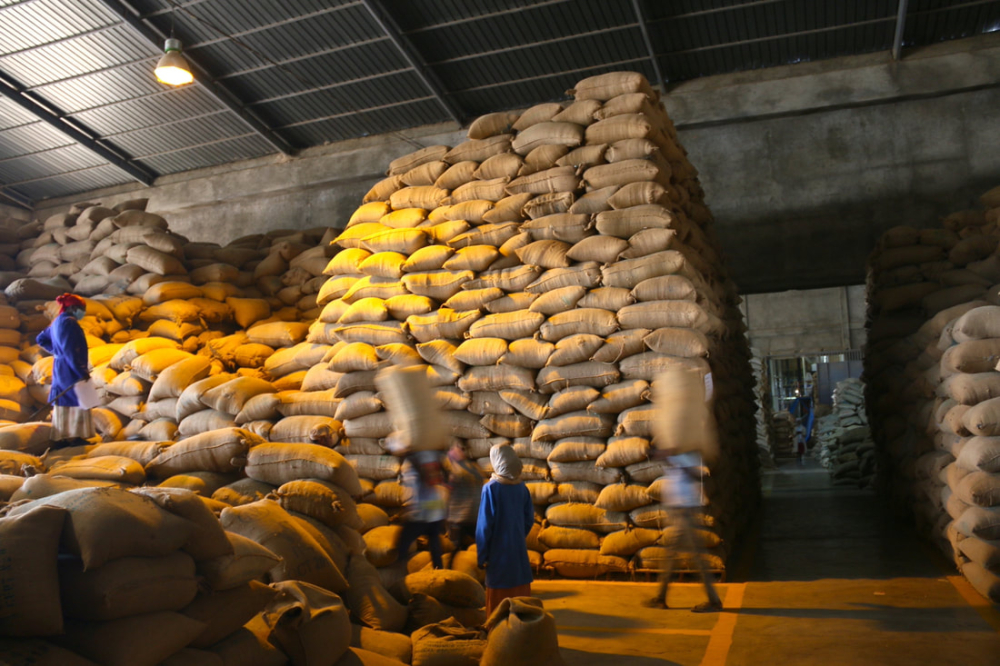 The Ultimate Guide to Storing Green Coffee Beans: Packaging Choices, Storage Environment, and the Secrets of Seasonal Beans