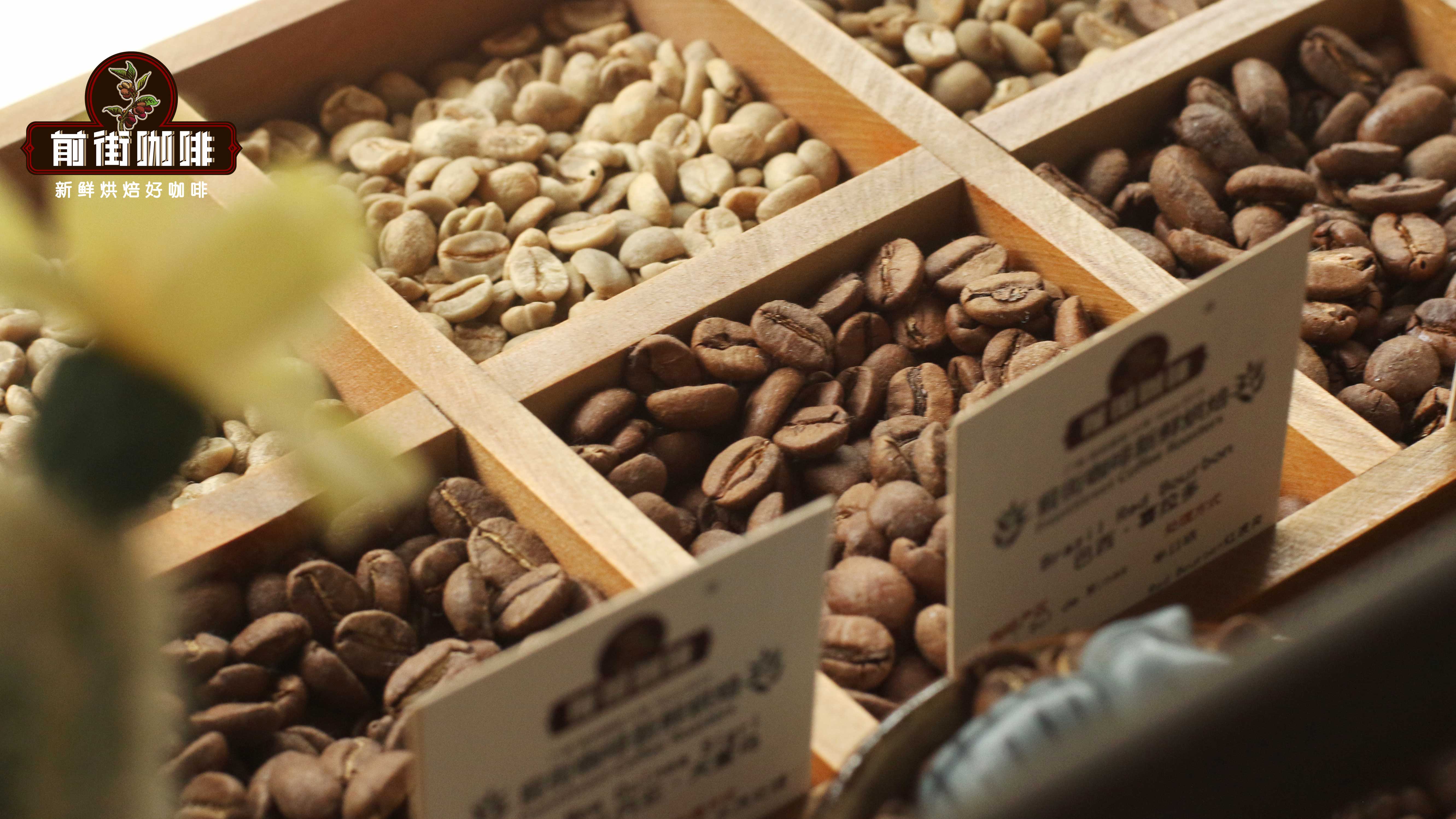 A Complete Guide to Brazilian Santos Coffee Beans: From Regional Flavor Profiles to Pour Over Parameters and Variety Comparisons