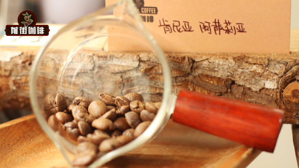 Complete DIY Guide to Vietnamese Drip Coffee: From Equipment Operation to Coffee Bean Selection and Brewing Parameters