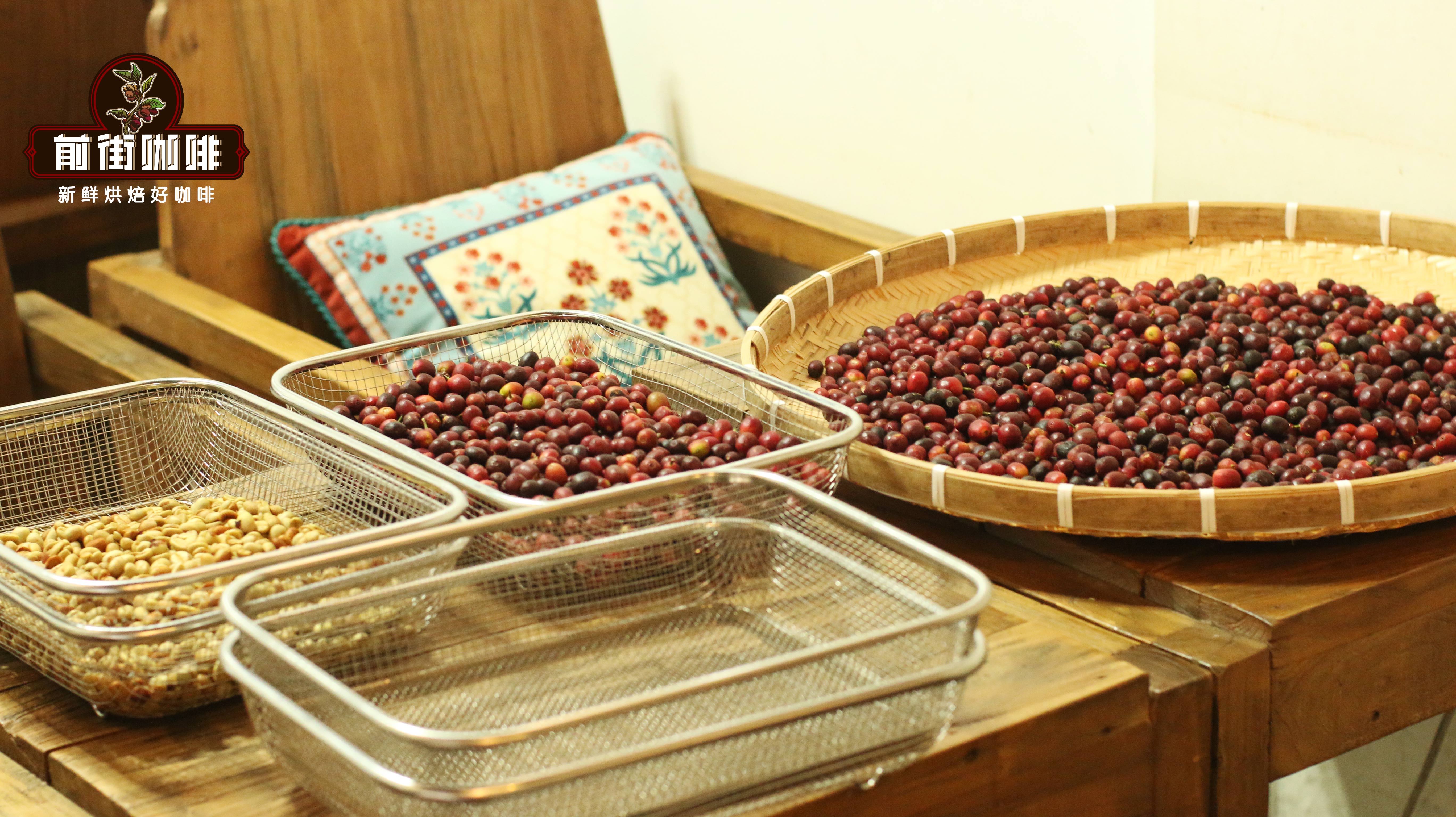 A Comprehensive Guide to Global Green Coffee Bean Grading Standards: The Evaluation Logic Behind G1, AA, No.1, and SHB