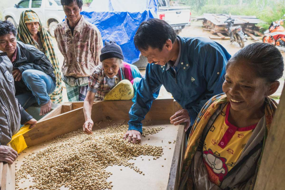 A Complete Guide to Sumatra Mandheling Coffee: Wet-Hulling, Golden Mandheling, and Pour Over Parameters