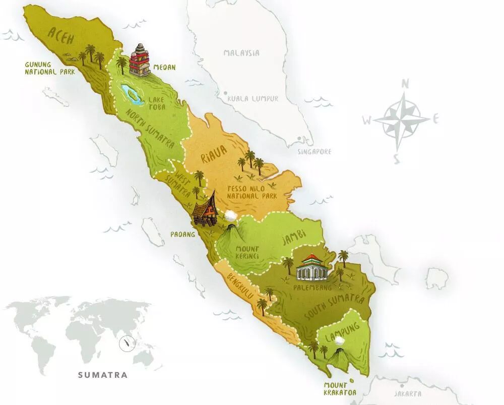In-depth Analysis of Indonesian Mandheling Coffee Flavor: Wet-Hulling Process and Practical Pour Over Guide for Four Classic Bean Varieties
