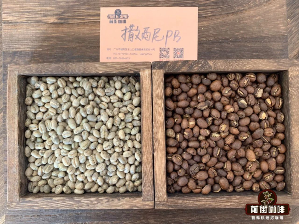 How to Brew Kenyan PB Peaberry Coffee? A Complete Guide from Grade, Variety to V60 Pour Over Parameters