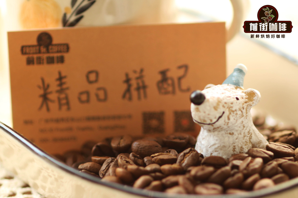 Complete Guide to Making Iced Latte: Coffee Bean & Milk Pairing + Home Brewing Parameters