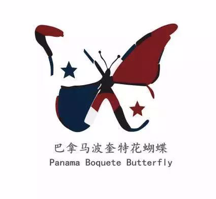 How to Brew Panamanian Flower Butterfly Gesha Blend? A Complete Guide to Varieties, Processing, and V60 Pour Over Parameters