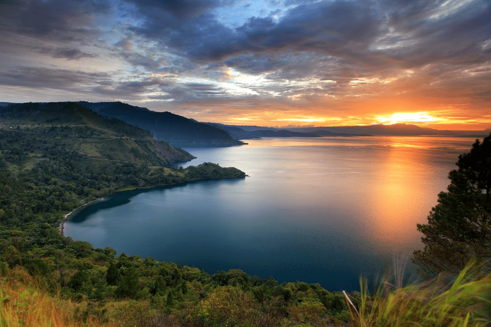 A Complete Guide to Indonesia's Sumatra Specialty Coffee Regions: From Mandheling to Aceh’s Gold