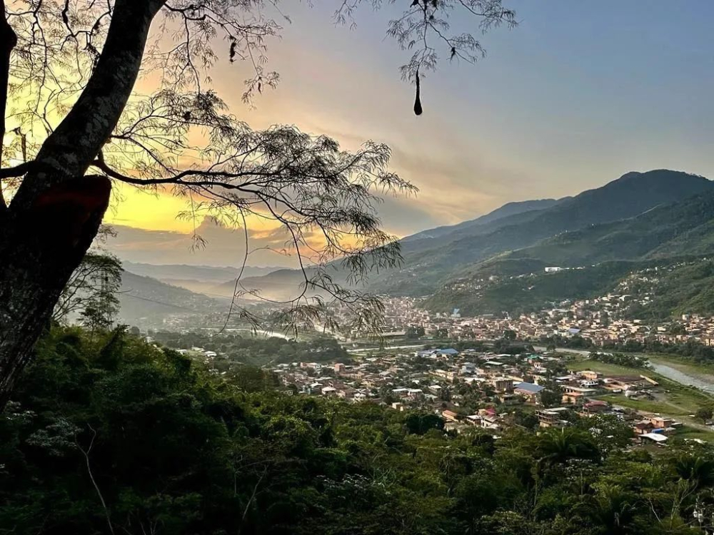 In-depth Analysis of Bolivia’s Specialty Coffee Regions: From High-Altitude Flavors to Unique Processing of Java Varieties