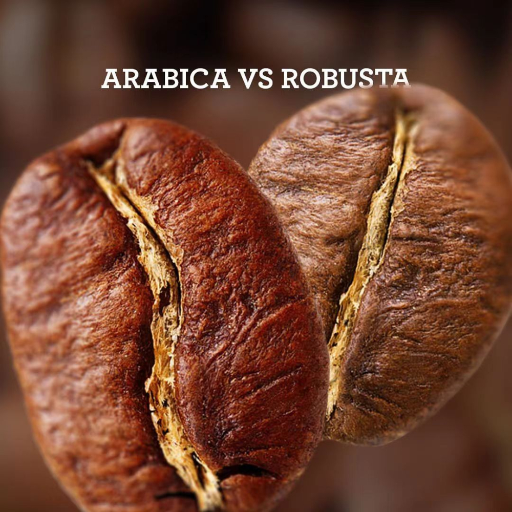 Robusta vs Arabica Coffee Beans: A Complete Guide to Flavor, Origins, and Espresso Blends