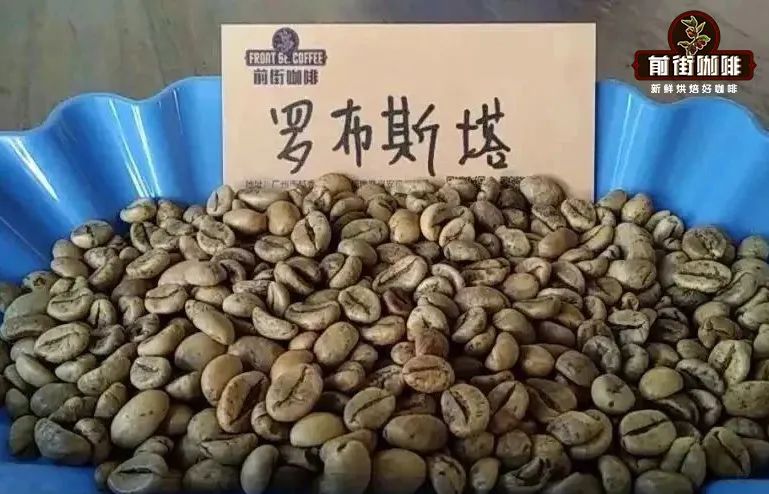 Analysis of the Differences Between Typica and Catimor Coffee Beans: Variety Characteristics of the Yunnan Region and Pour Over Recommendations
