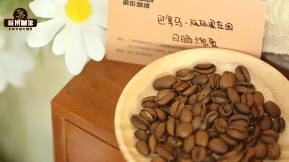 A Complete Guide to Panama Geisha from Finca El Valle: From Grading to Moka Pot Brewing — Master the Flavors and Techniques