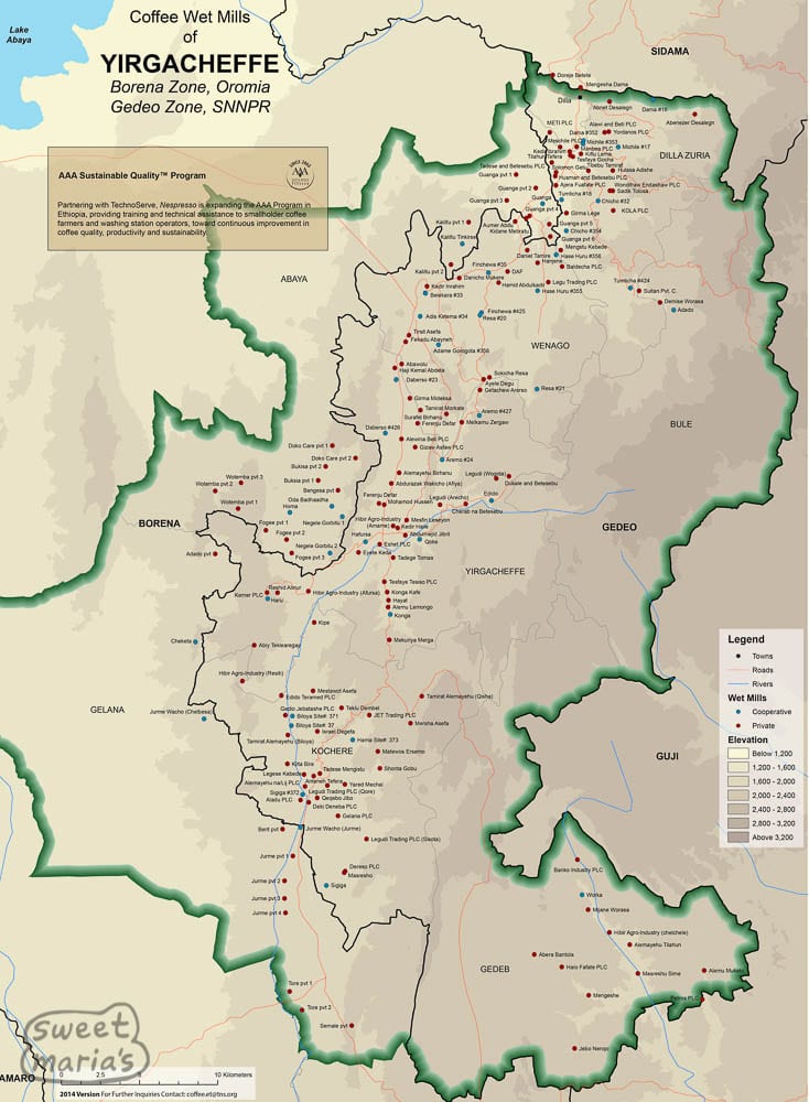 Flavor Profile of Yirgacheffe Coffee Beans: A Comprehensive Guide to Regional Characteristics, Processing Method Evolution, and Pour Over Parameters
