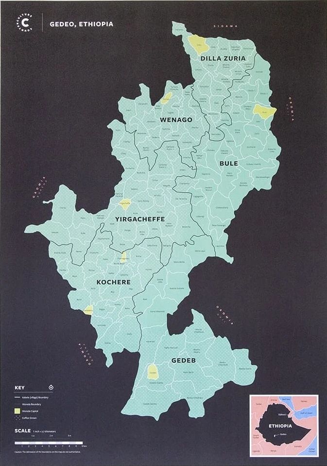 Ethiopia Yirgacheffe Region Guide: Sun-Dried vs. Washed Differences and Pour Over Parameter Suggestions